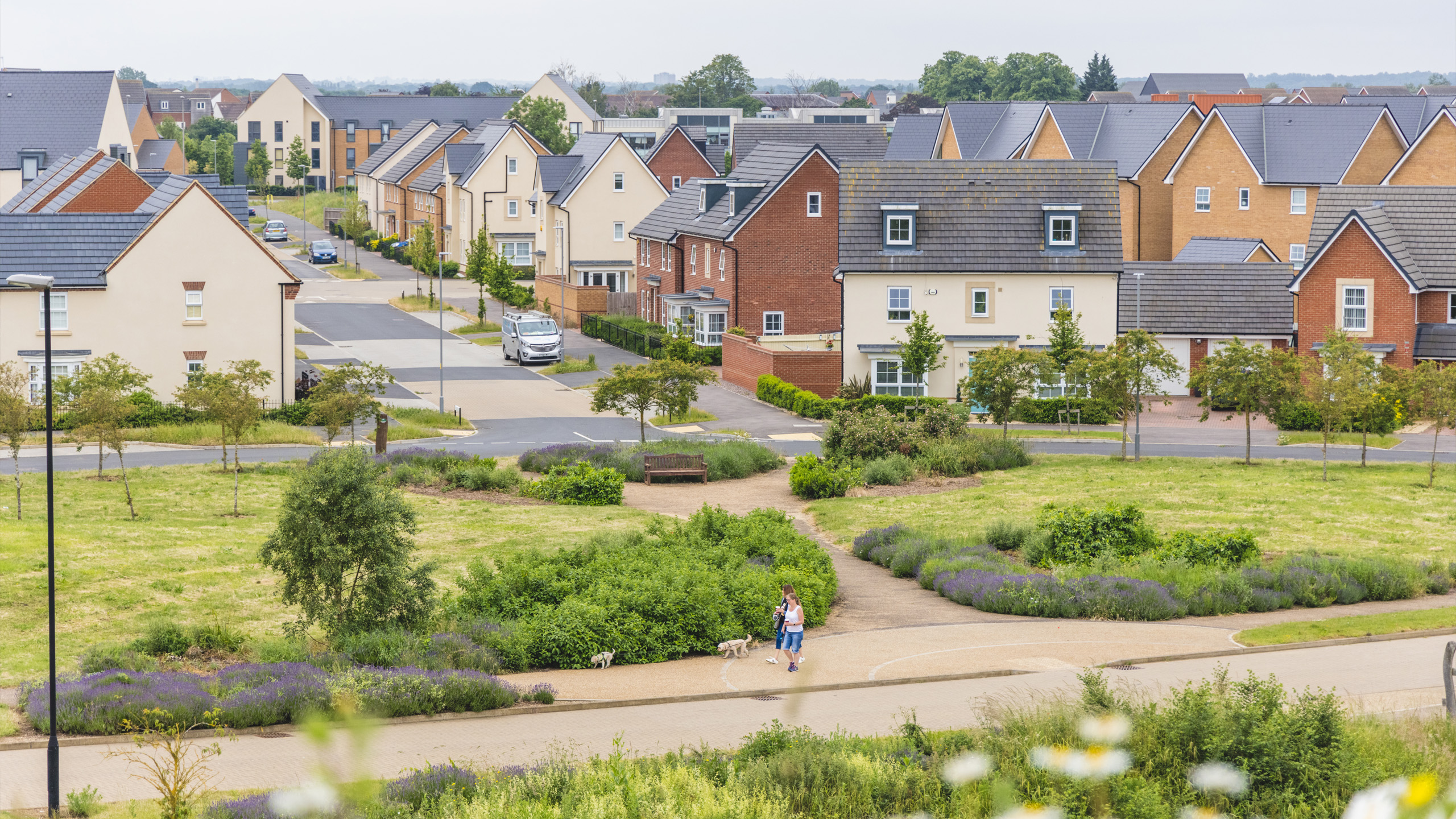 Neighbourhood of new homes with parkland and walking space.
