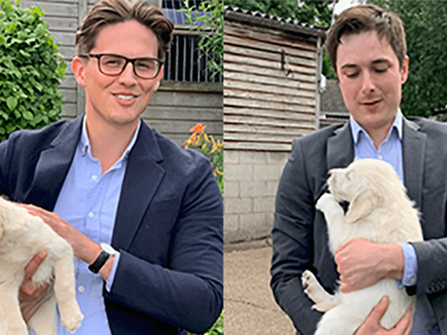 Two people holding small Labrador puppies. The puppies are cuddling into their arms.